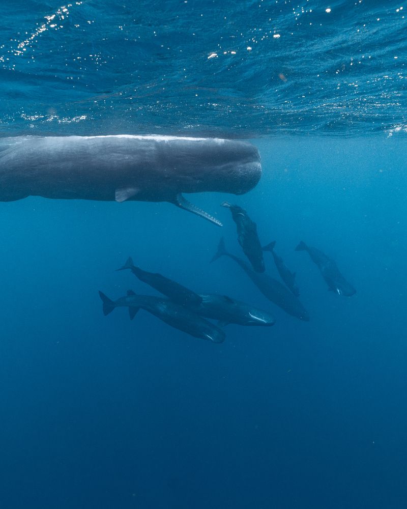 Photograph by Airat Mukhametov