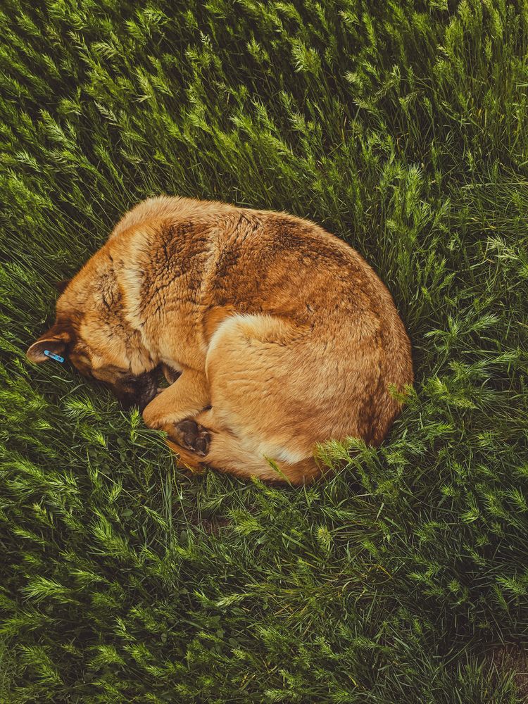 Photograph by Александра Воронина