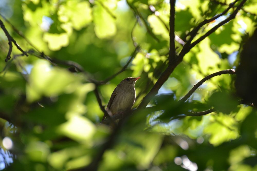 Photograph by Людмила Куренкова