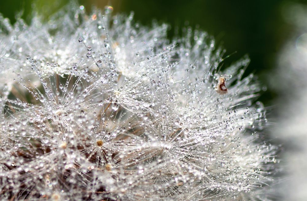 Photograph by Александра Плискова