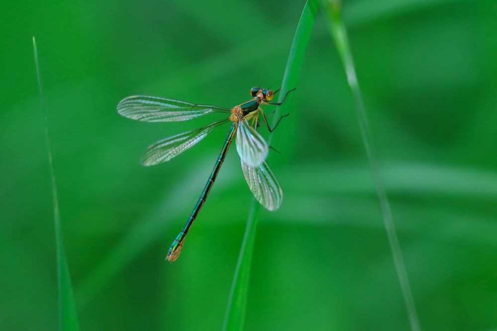 Photograph by Денис Гайдуков