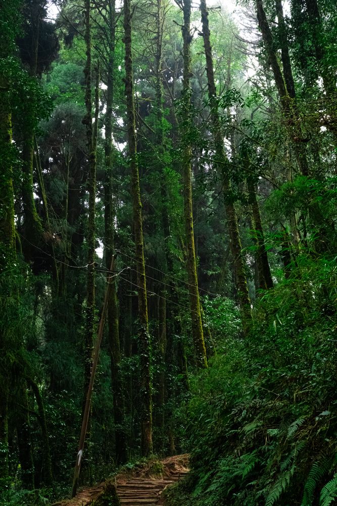 Photograph by Bharat Sonawane