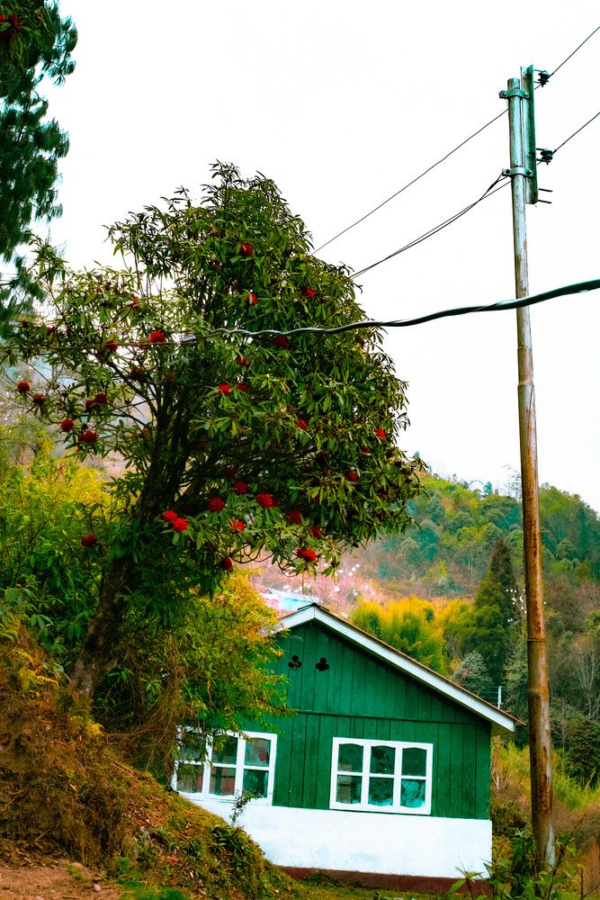 Photograph by Bharat Sonawane