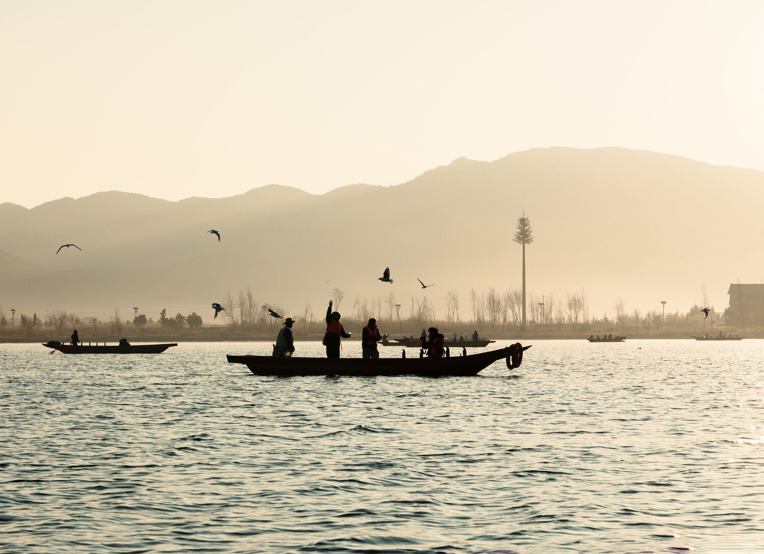 Photo #13607645