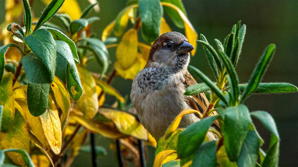 Photograph by Гришанов Пётр
