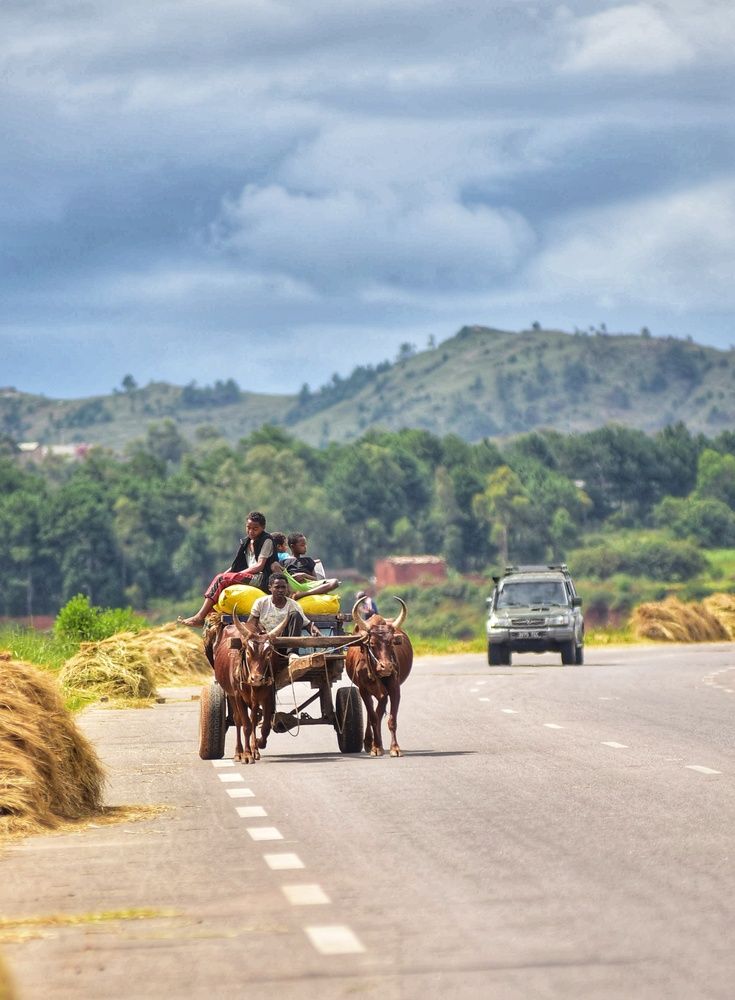 The Pace of the Land or Two Speeds of Life