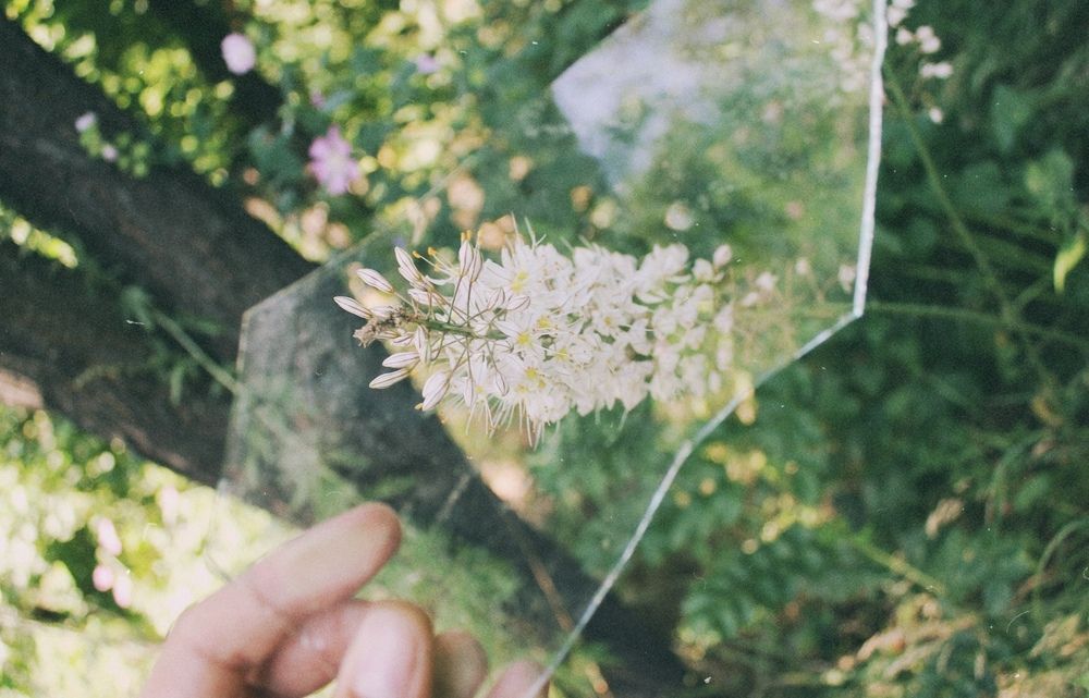 Photograph by Майя Хованская