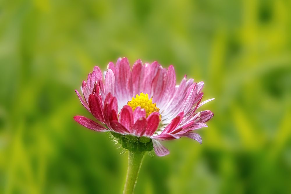 Photograph by Александр Творогов