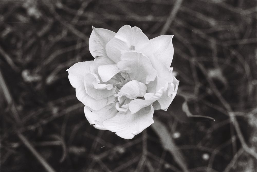 Photograph by Александр Сотниченко