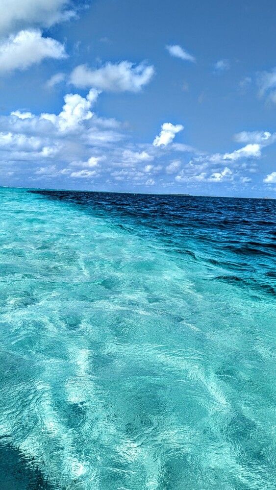 The Turquoise Divide