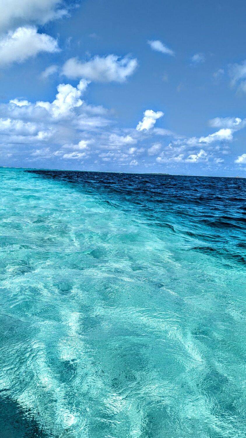 The Turquoise Divide