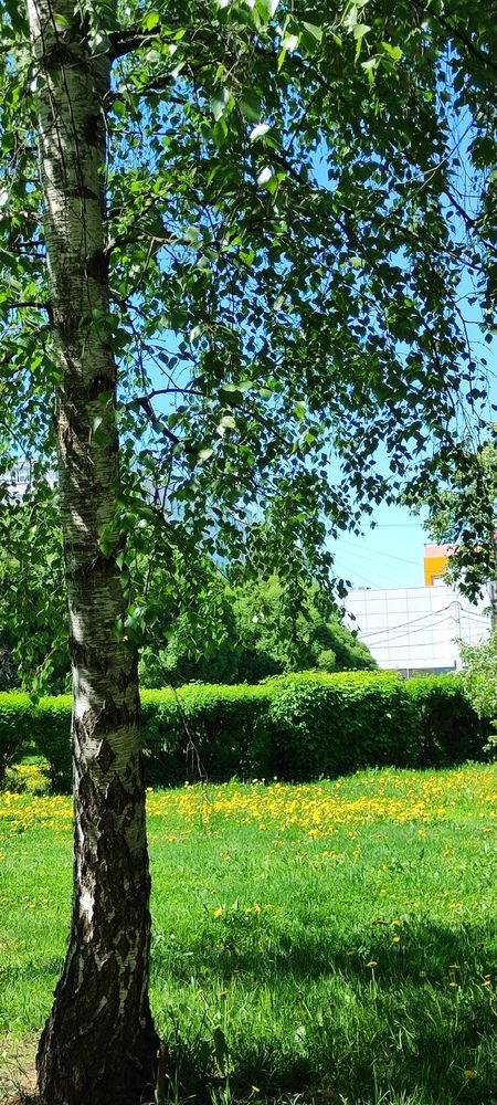 Photograph by Рита