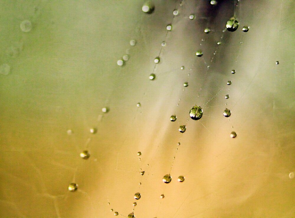 Dewdrop Symphony