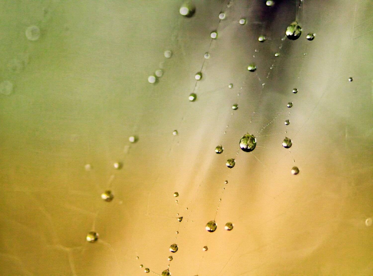 Dewdrop Symphony