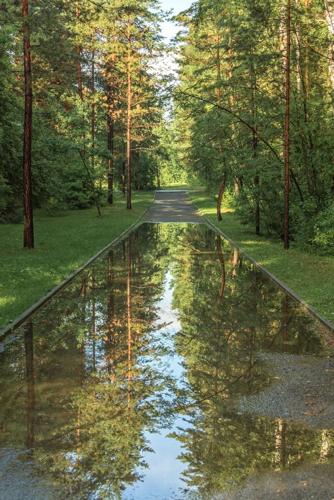 Фотография автора Галина Шепелева