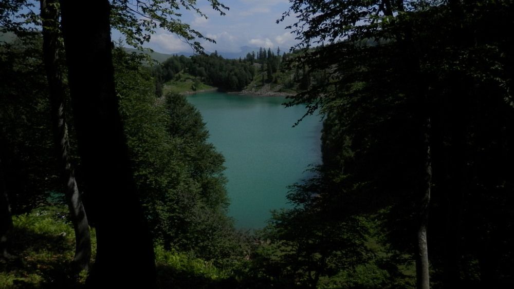Photograph by Mariami Sanishvili