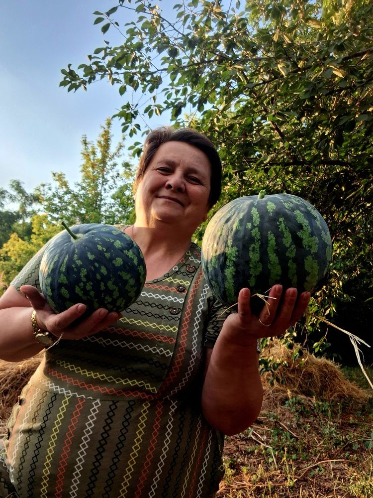 Photograph by Ольга