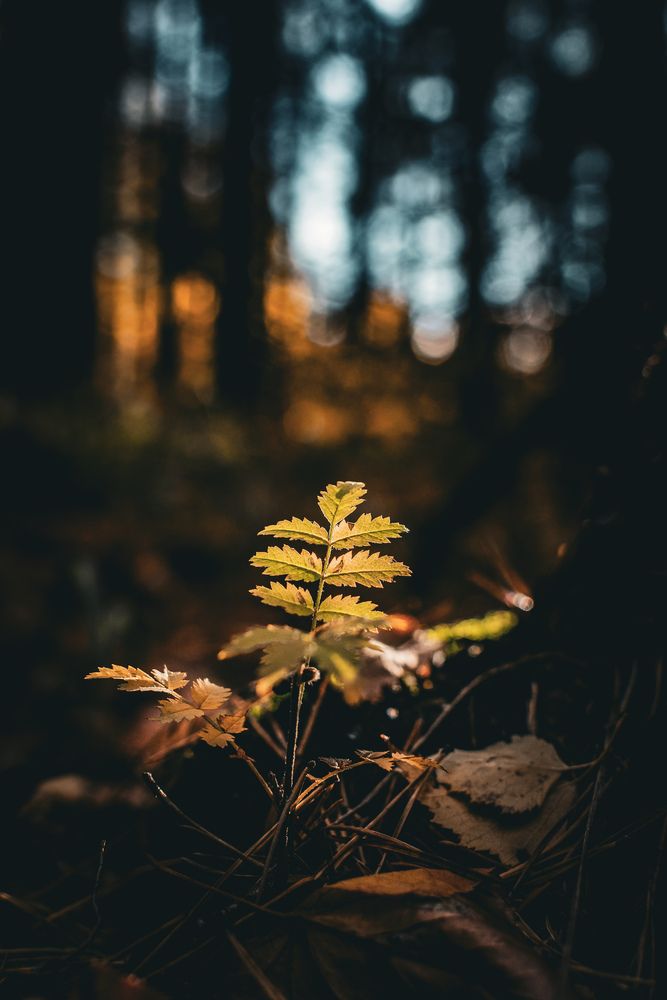 Photograph by Владимир Лавров