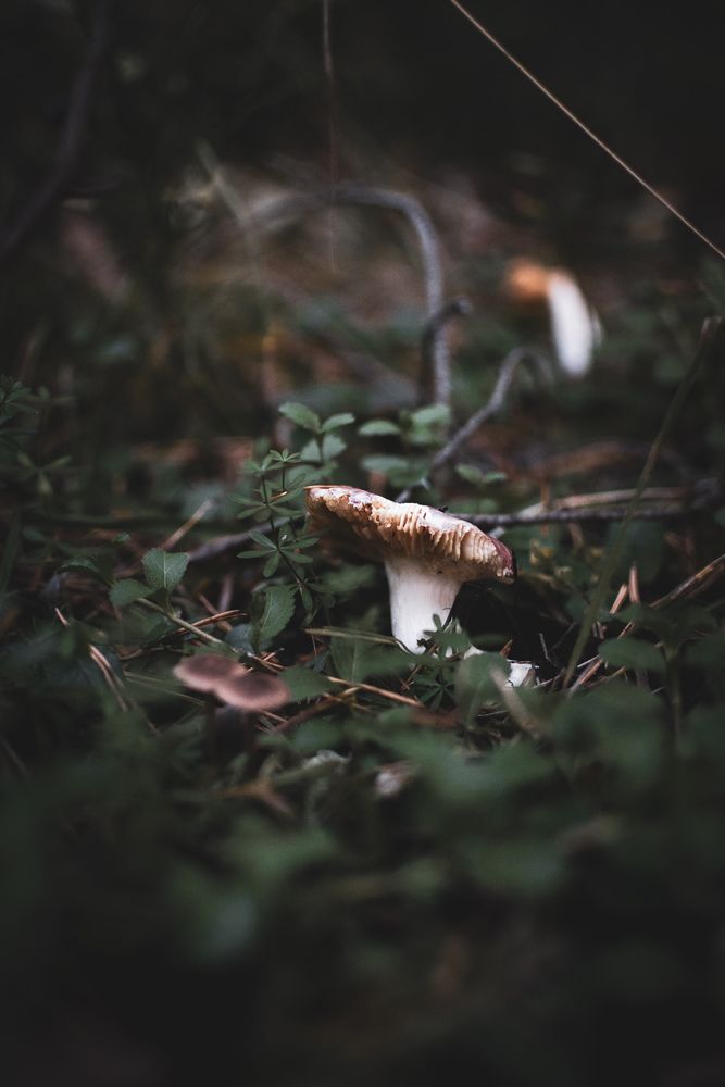 Photograph by Владимир Лавров