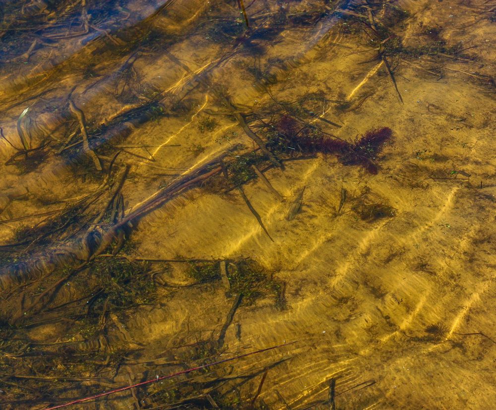 Photograph by Сергей Щербаков