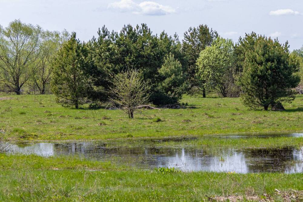 Photograph by Сергей Щербаков