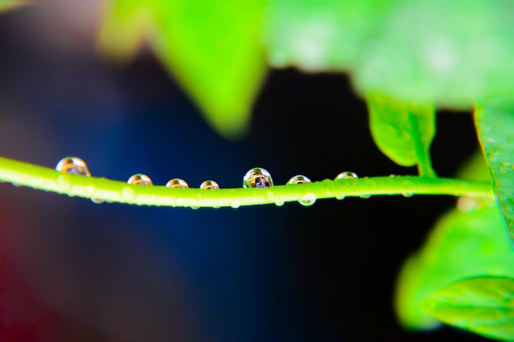 A Auto Riksa Inside the water Drop