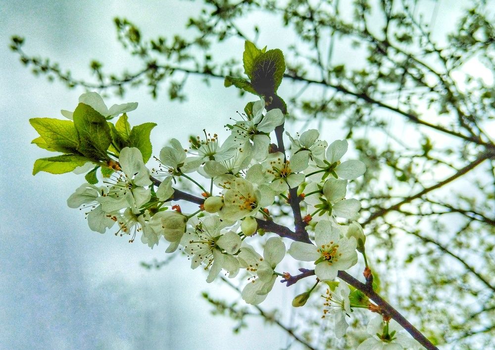 Photograph by Ирина Ермакович