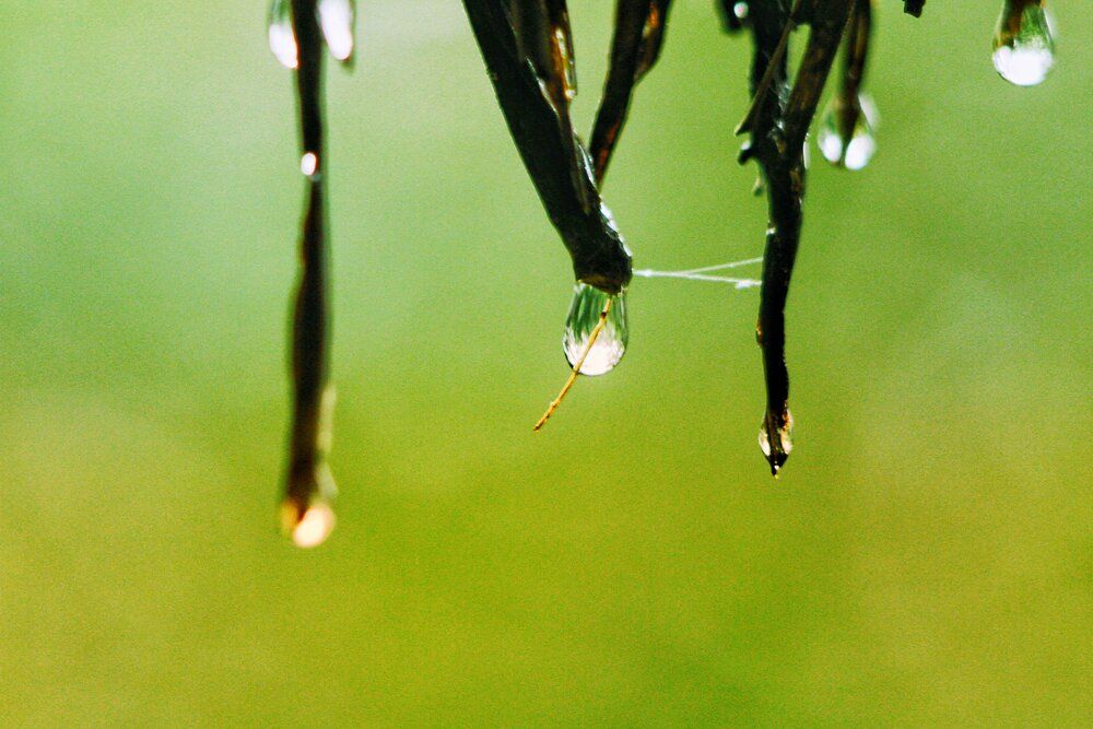 The Liquid Pendulum