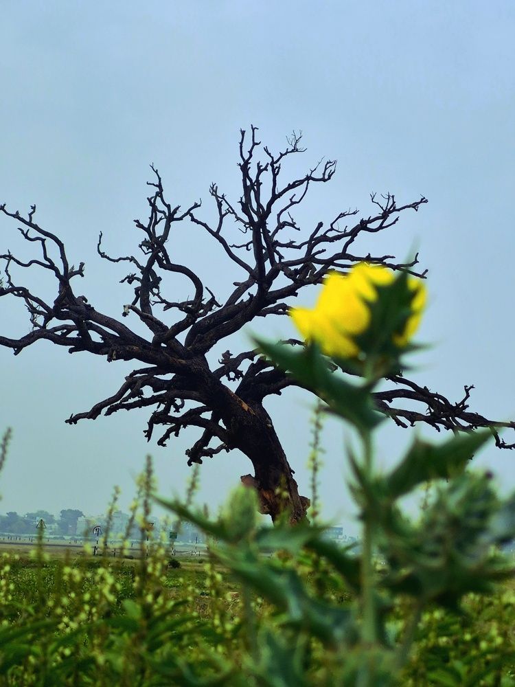 Photograph by Mukesh Singh