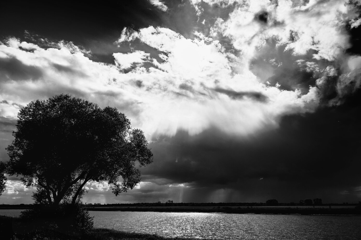 Photo #13608512