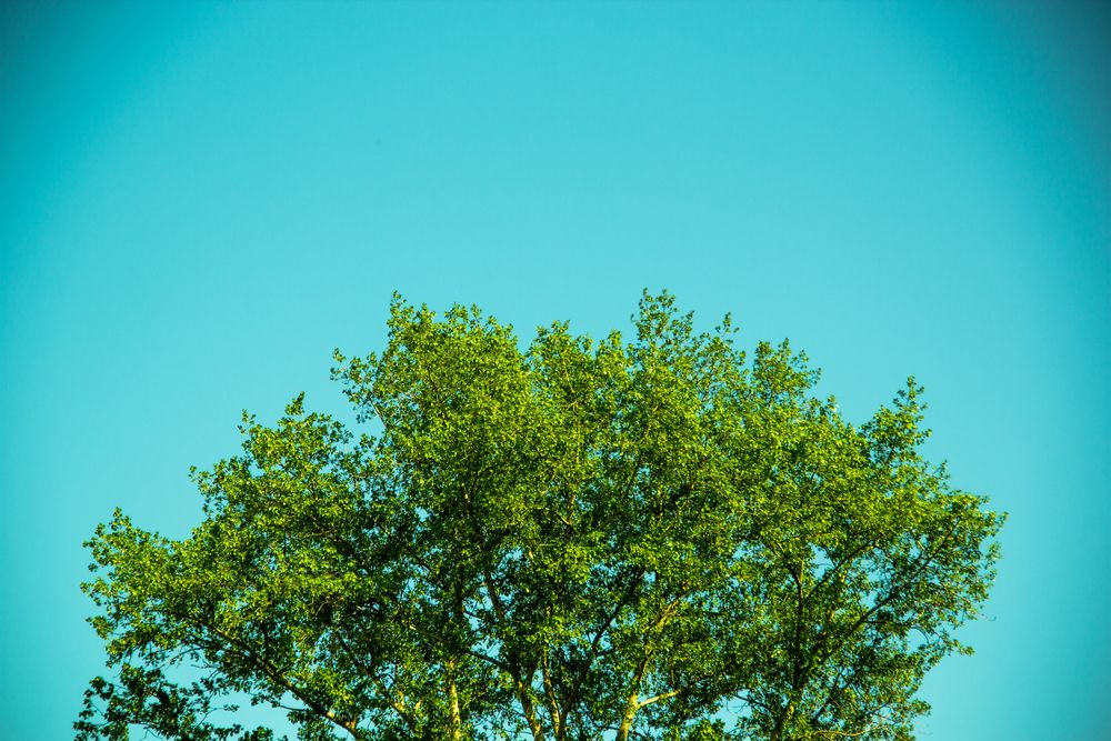 Photograph by Артём Лагутин