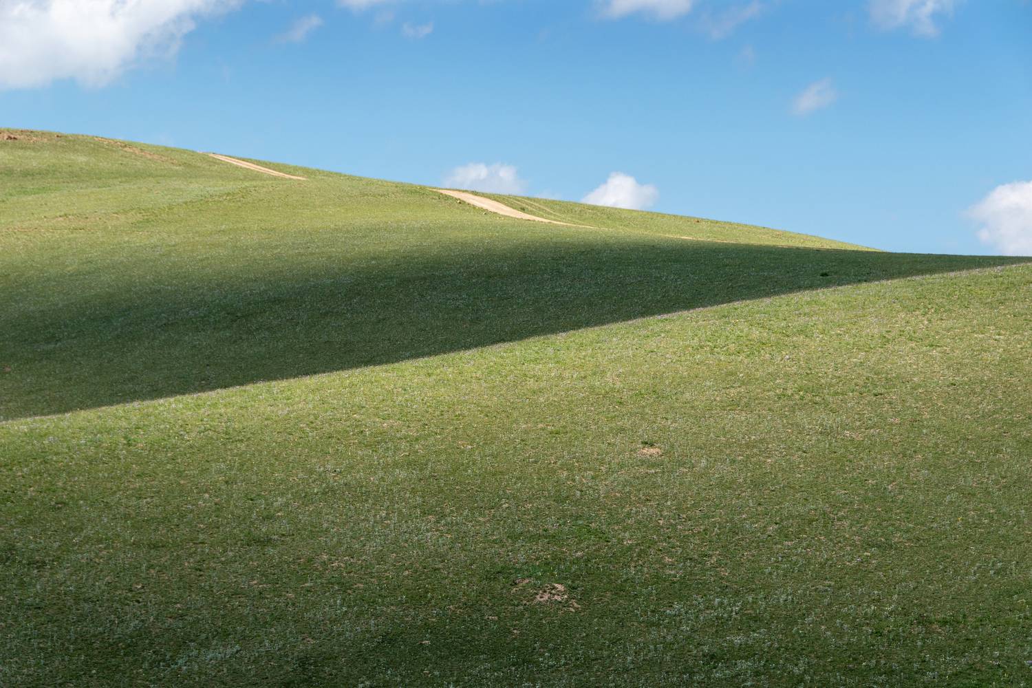 Photo #13608630