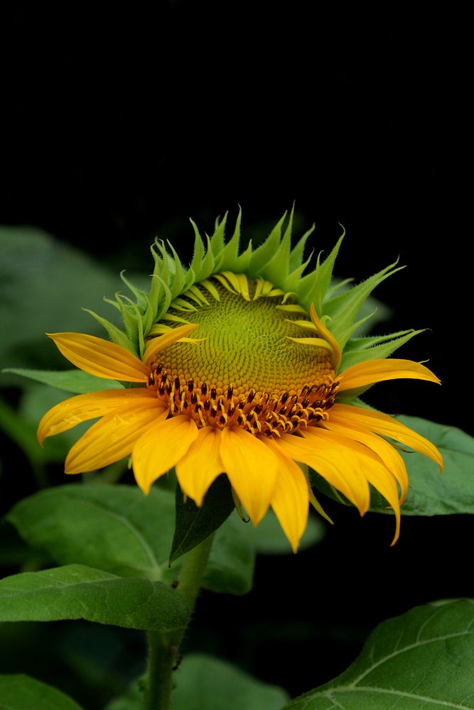 Photograph by Pamudi Obeyesekera