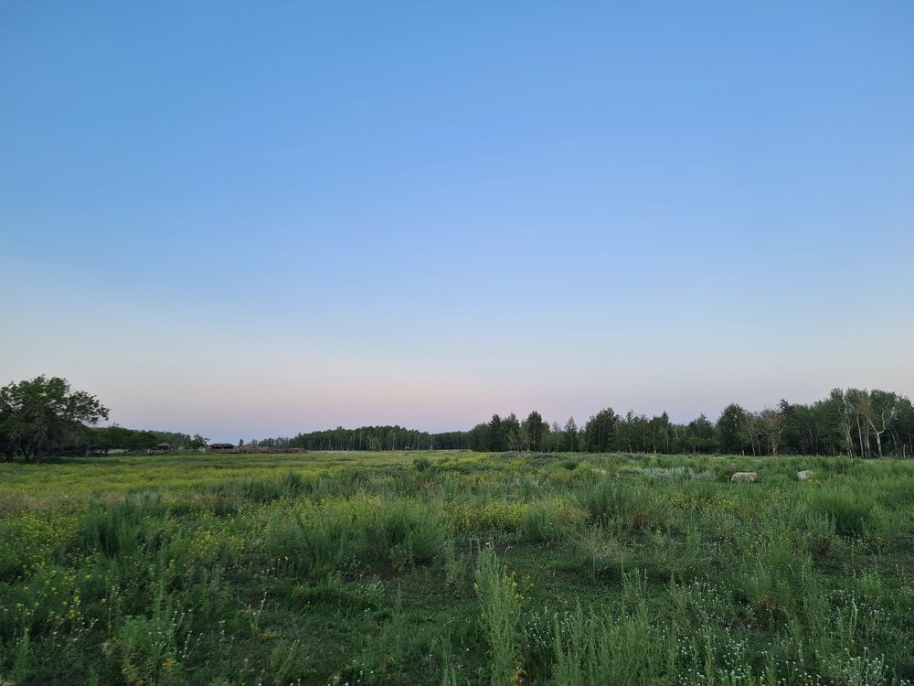 Photograph by Алёна Стародубцева