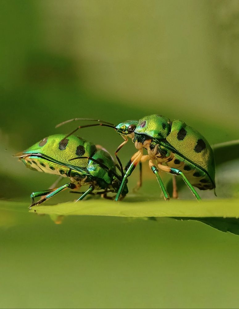 Photograph by Chinchu Chandran