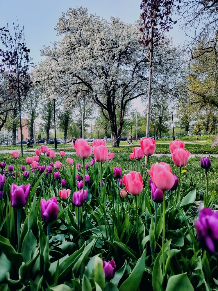 Photograph by Юлия Реутова