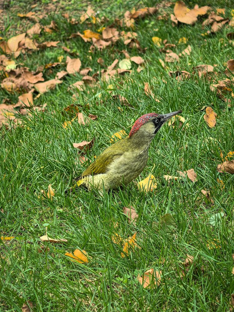 Photograph by Елена Шляхова