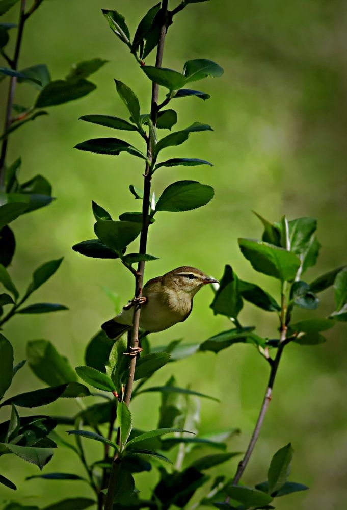 Photograph by Татьяна Слесарева