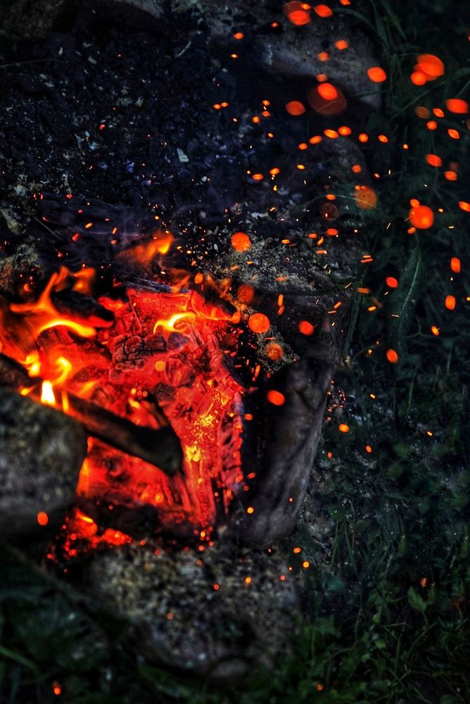 Photograph by Микрокосмос Владимир