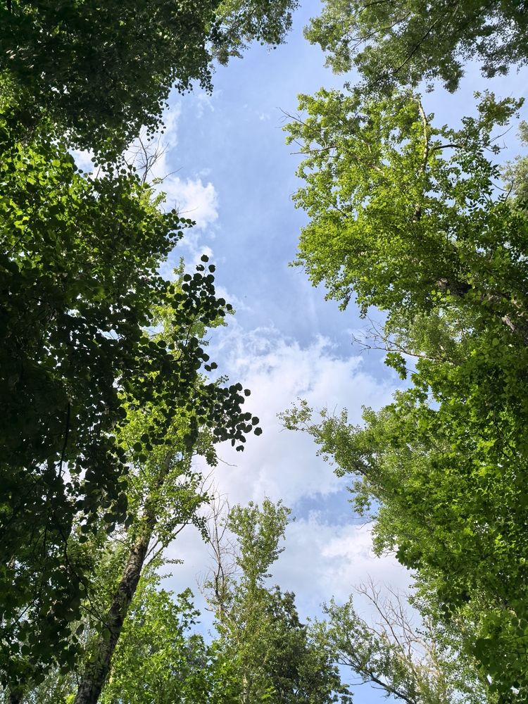 Photograph by Елена Шляхова