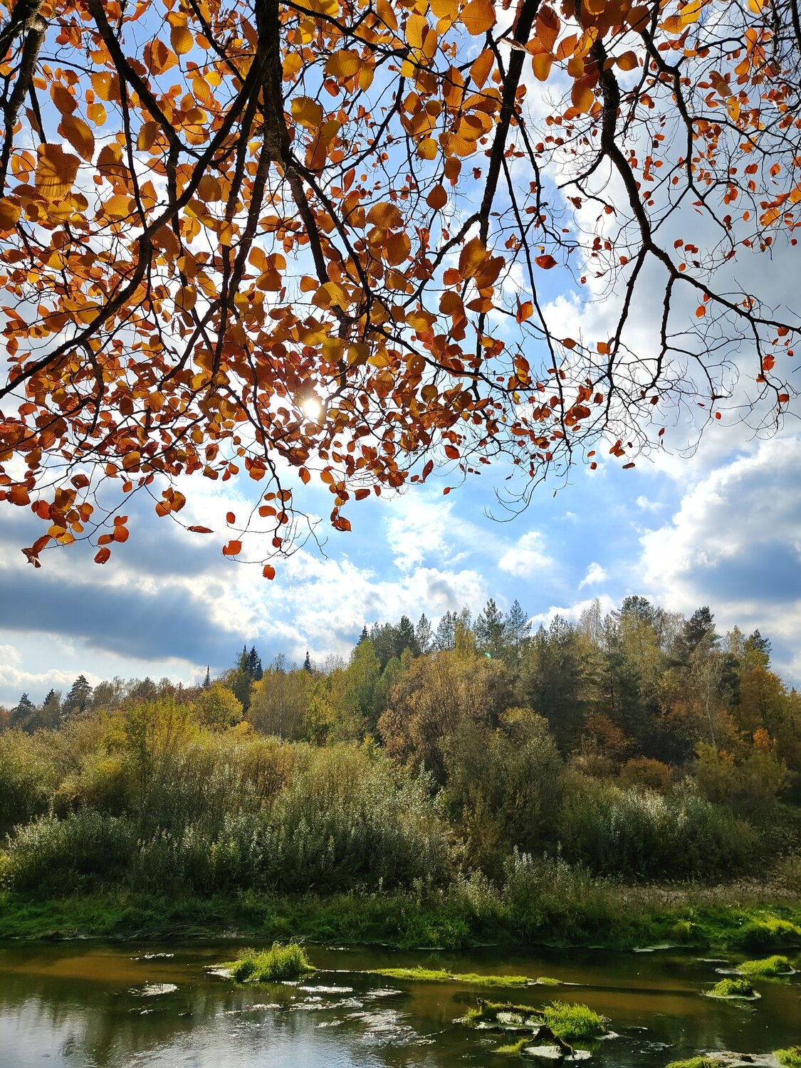 Photo #13609174