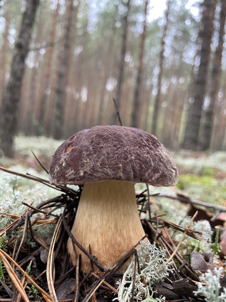 Photograph by Сергей Александрович