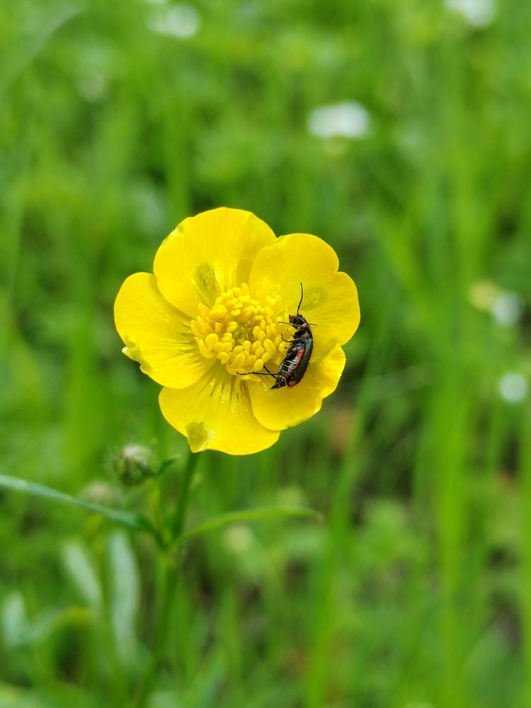 Photograph by Сергей Александрович