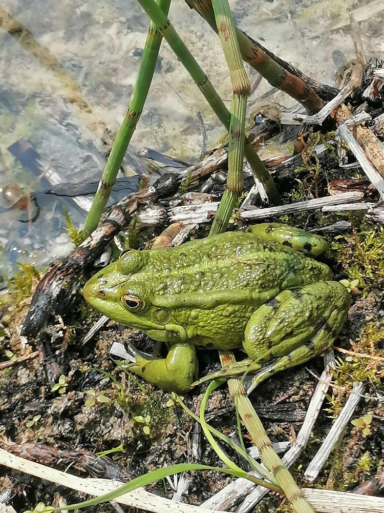 Photograph by Татьяна Василевская