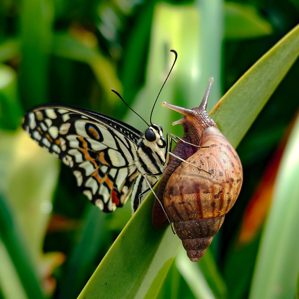 Photograph by Nihal Patilkulkarni