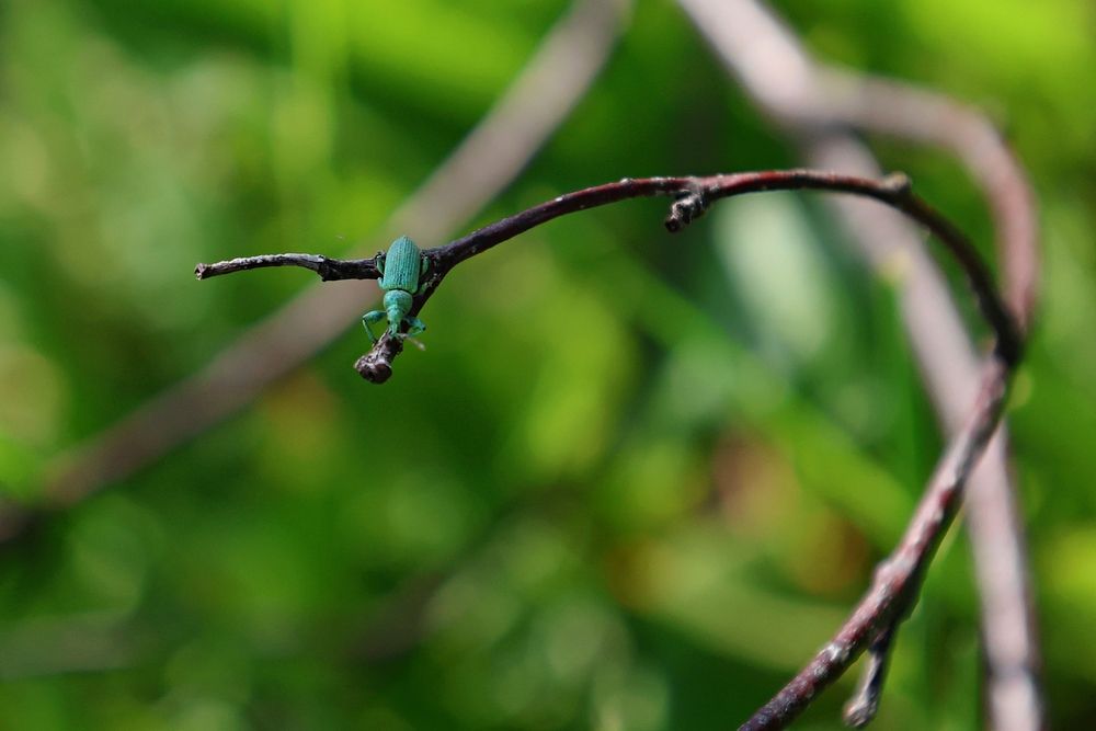 Photograph by Оксана Короткая