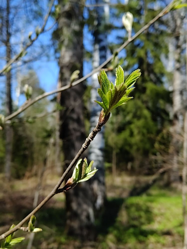 Photograph by Сергей Александрович