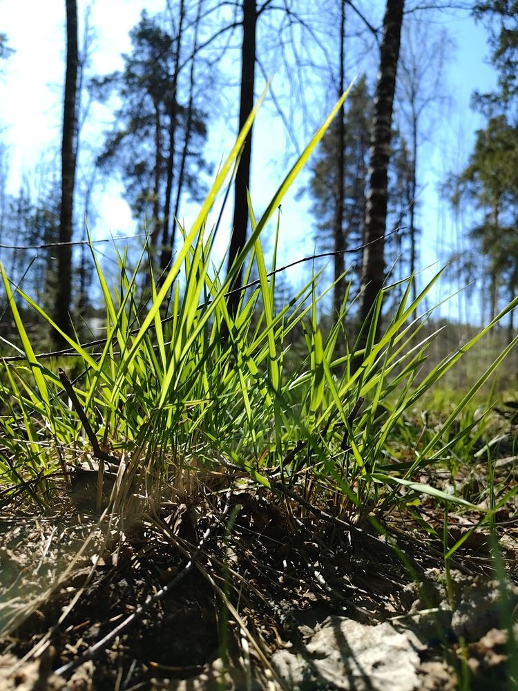 Photograph by Сергей Александрович