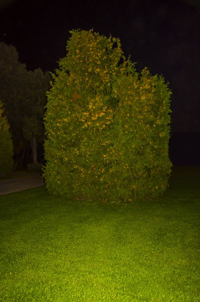 Photograph by Щеглов Дмитрий