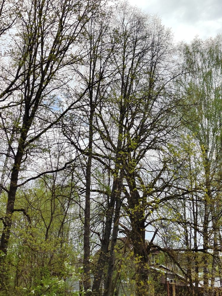 Photograph by Сергей Александрович